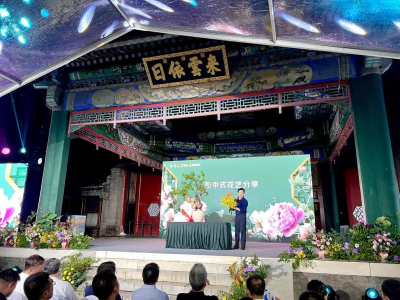 选用玉兰、月季等本土花卉，“北京印象”花束发布