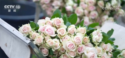 菏泽鲜花专机启航！顺丰以数智之钥，重构鲜花产业的“航空时效圈”