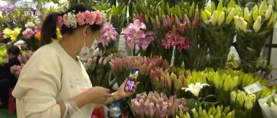 十里花卉十里香 美好兴宁竞芬芳