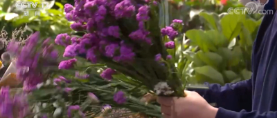 花卉产业由“种植生产型”转向“市场服务型”