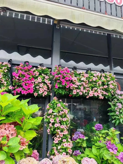 “十里花卉长廊”农旅融合助力乡村振兴